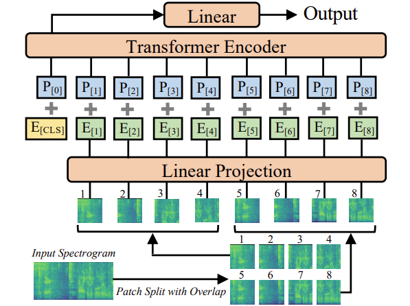 AST(Audio Spectrogram Transformer) 모델 구조
